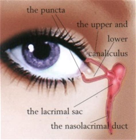 tear drainage test equipment|full ocular examination for tearing.